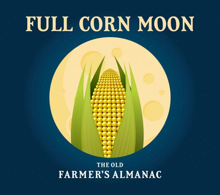 full_corn_moon_full_width