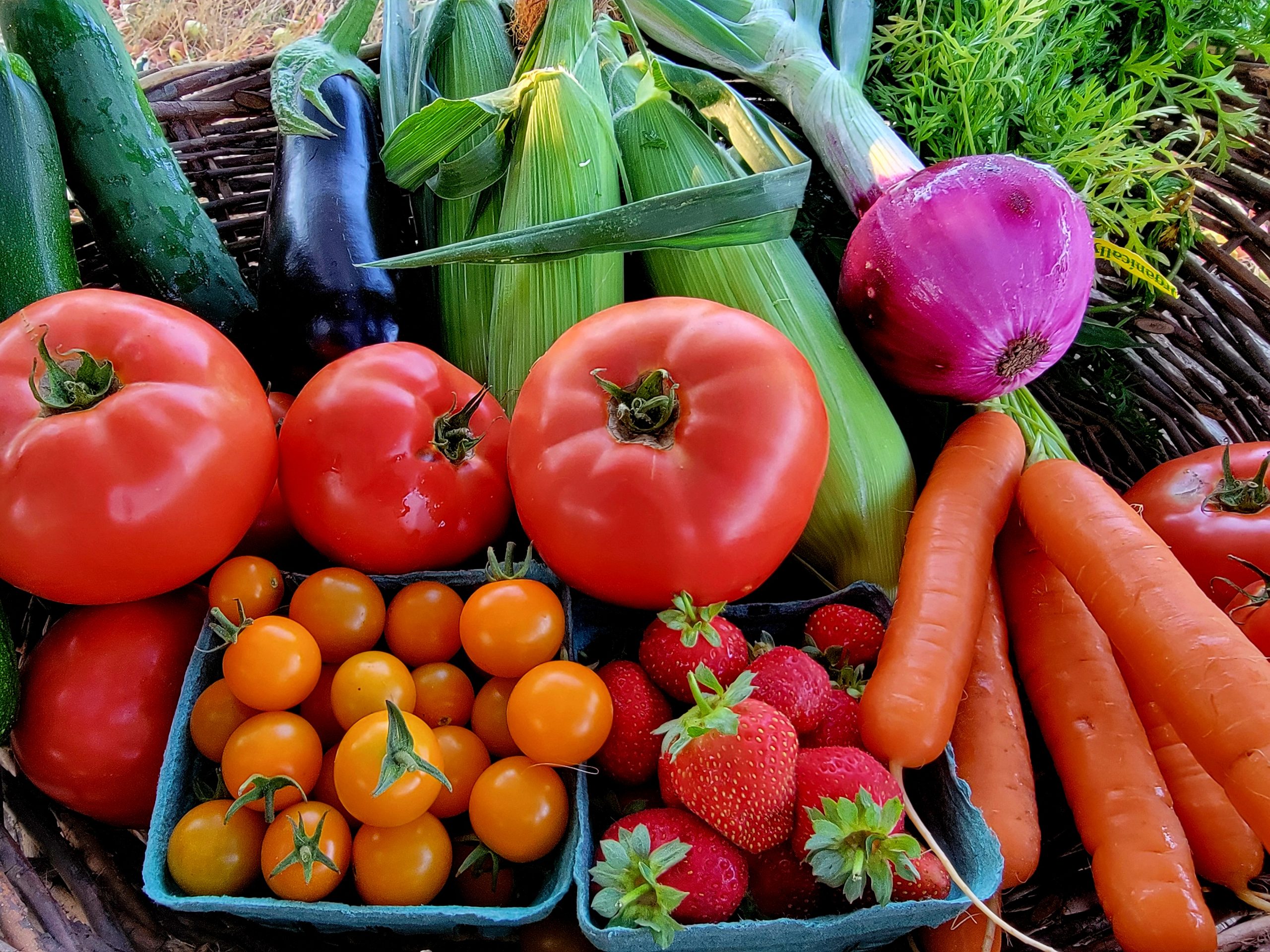 2025 Csa Season Week Twelve Winter Green Farm