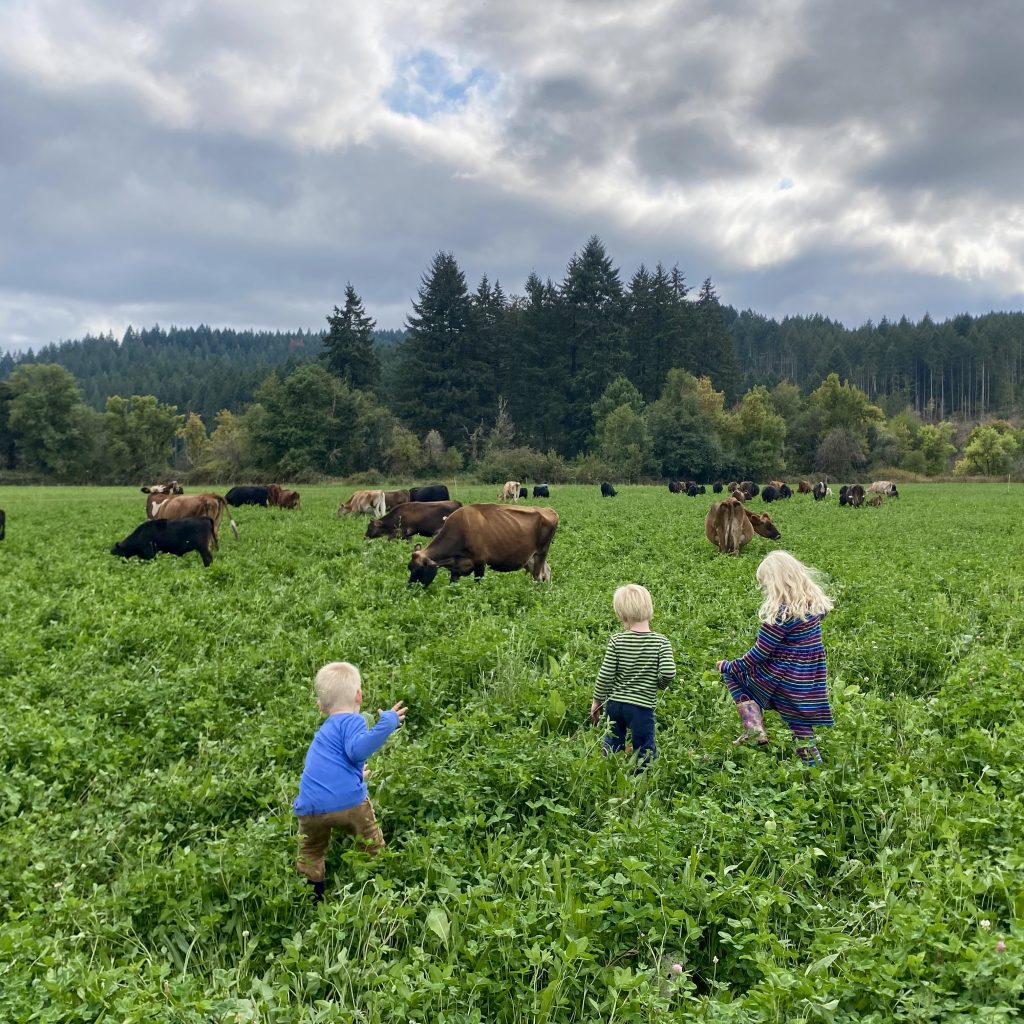 Willamette Valley Organic Beef Pasture